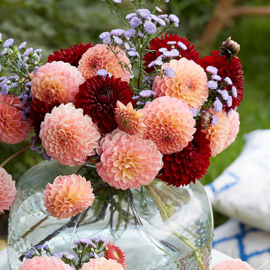 Antique Copper Red Dahlia